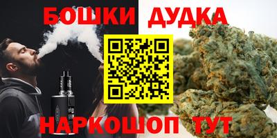 мдпв Дубна