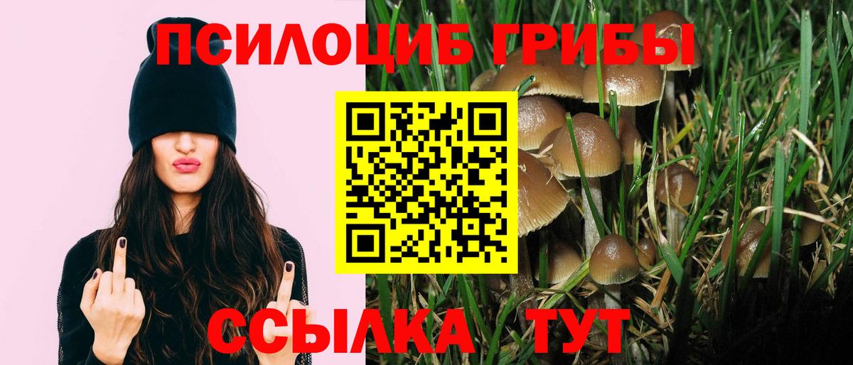 Галлюциногенные грибы прущие грибы Набережные Челны