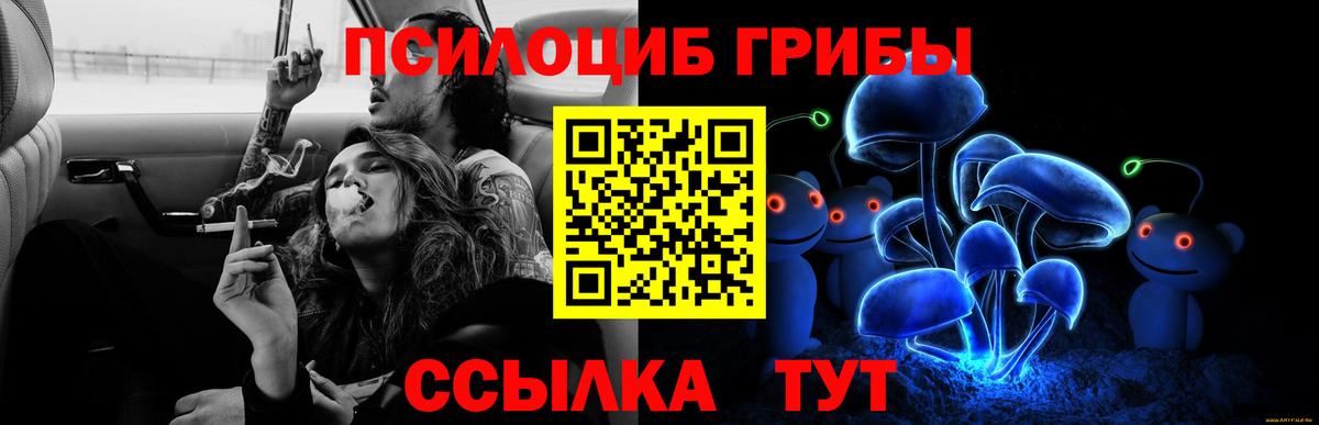 Псилоцибиновые грибы Psilocybe  Вход с VPN  сколько стоит  Набережные Челны 